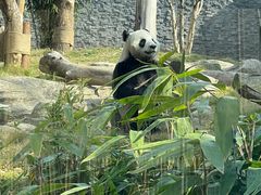 -武汉动物园