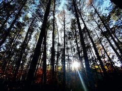 -帽儿山国家森林公园