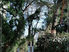 -燕儿岛山公园