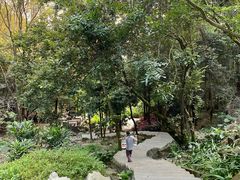 -火炉山森林公园