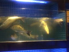 西苑湘湖大院(湘湖大院茶馆)-湘湖大院(越王路店)