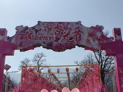 -北京凤凰岭