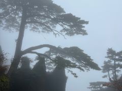 -黄山玉屏楼宾馆餐厅