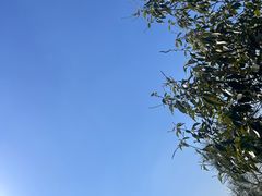 -达蓬山旅游度假区