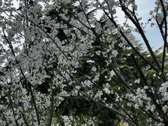 -上海体育馆(地铁站)
