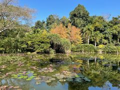 -中国科学院西双版纳热带植物园