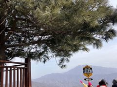 -洛阳白云山景区