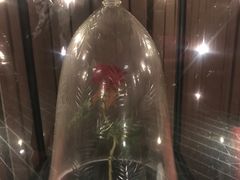 -百丽宫影城(ifc商场店)