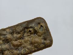 -老婆大人(天一广场店)