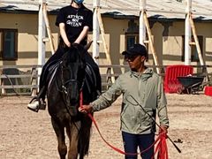 -北京群众马术培训基地