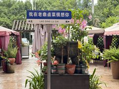 -老鼎万春卤菜(五代传承创始老店)
