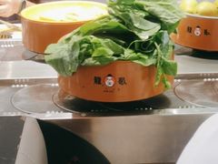 -龍歌自助小火锅(市南金茂湾店)