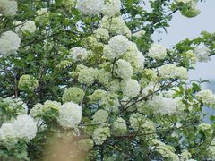 -大龙山(地铁站)