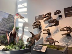 -禧园Joyous Garden ·宴会厅(禧园店)