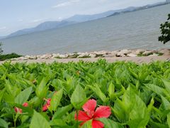 -深圳湾公园(南山区)