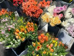 -循礼门鲜花花市(武汉循礼门店)