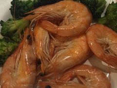-裕龙汤泉