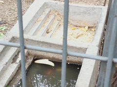 -廊坊市自然公园