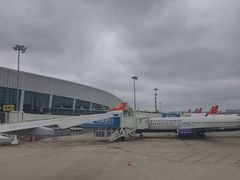 -郑州新郑国际机场-T2航站楼