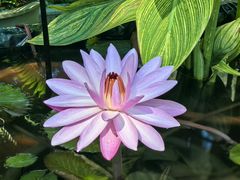 -皇家御河游(紫御湾码头)