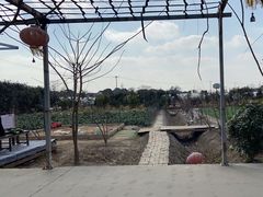 -小鱼草莓采摘园农家乐·小鱼餐厅