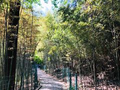 -四门塔风景区