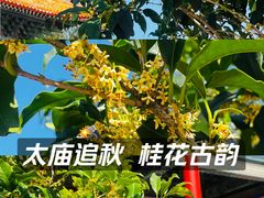 -北京市劳动人民文化宫(太庙)