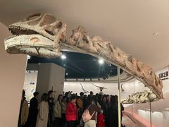 -自贡恐龙博物馆