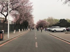 -吉林大学(南岭校区)