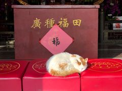 -灵谷景区