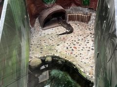 -上海大自然野生昆虫馆(东方明珠·爬宠昆虫探索中心)