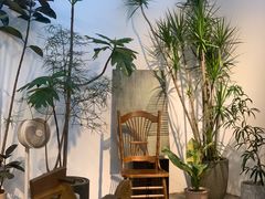 -自由生长植物工作室(深港花卉中心店)