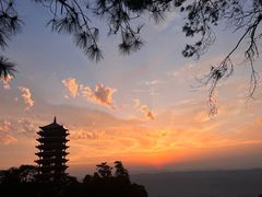 -缙云山景区