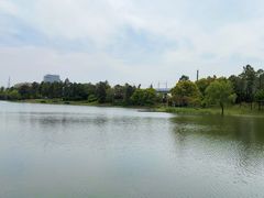 -美兰湖景区