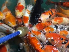 -无锡海洋馆