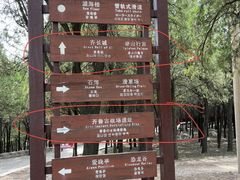 -原山国家森林公园