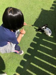 -萌宠亲子动物乐园(槐房万达店)