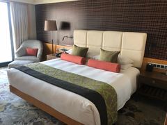 -新加坡文华东方酒店