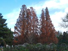 -国家植物园南园