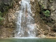 -南海湾森林生态园