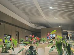 -青岛胶东国际机场