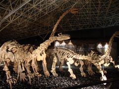 -世界恐龙谷景区