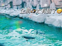 -上海野生动物园