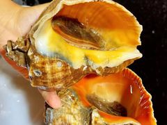 -四海蒸鲜蒸汽海鲜自助(北戴河店)