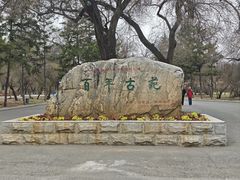 -龙沙公园