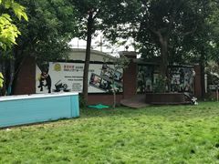 -翊宠yipet猫狗购宠庄园犬舍•猫舍