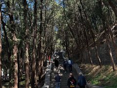 -四门塔风景区