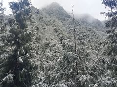 -九峰山