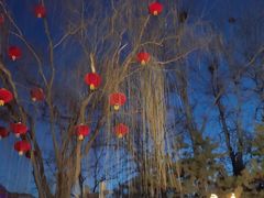 -南宫五洲植物乐园