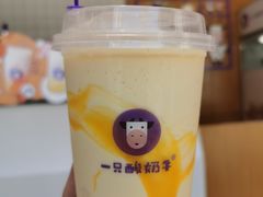 -一只酸奶牛(八一路店)